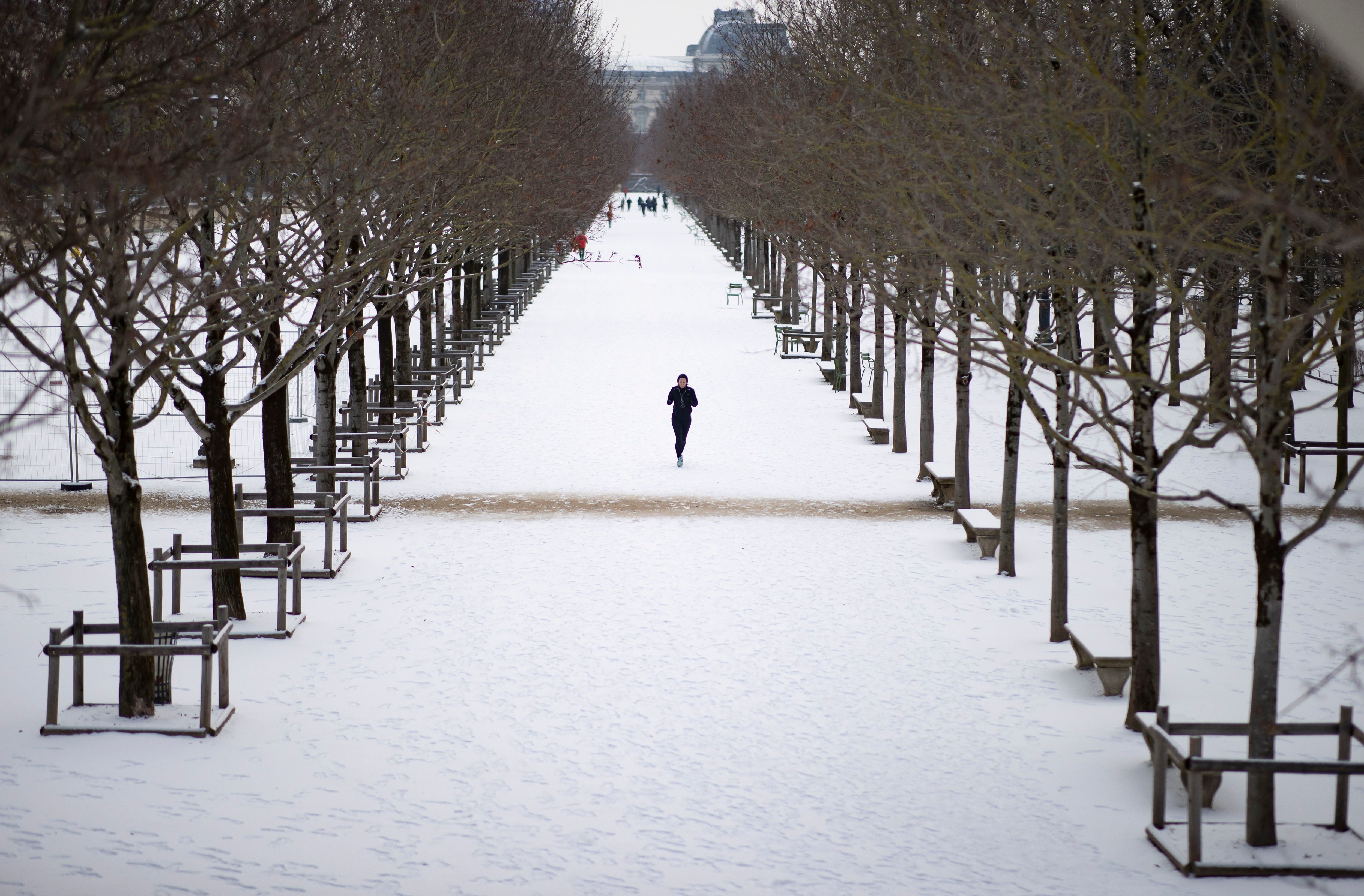 La nieve se ha dejado notar en los últimos días en distintos países como Alemania, Holanda o Estados Unidos. Las condiciones climatológicas, además de dejar unas imágenes llamativas, también han provocado alteraciones en la vida de sus ciudadanos.