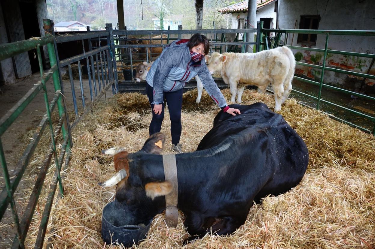 La ganadera Dorina Ocunschi, que todos los veranos sube sus reses a la Montaña de Covadonga, con algunos de sus animales en Soto de Cangas. 
