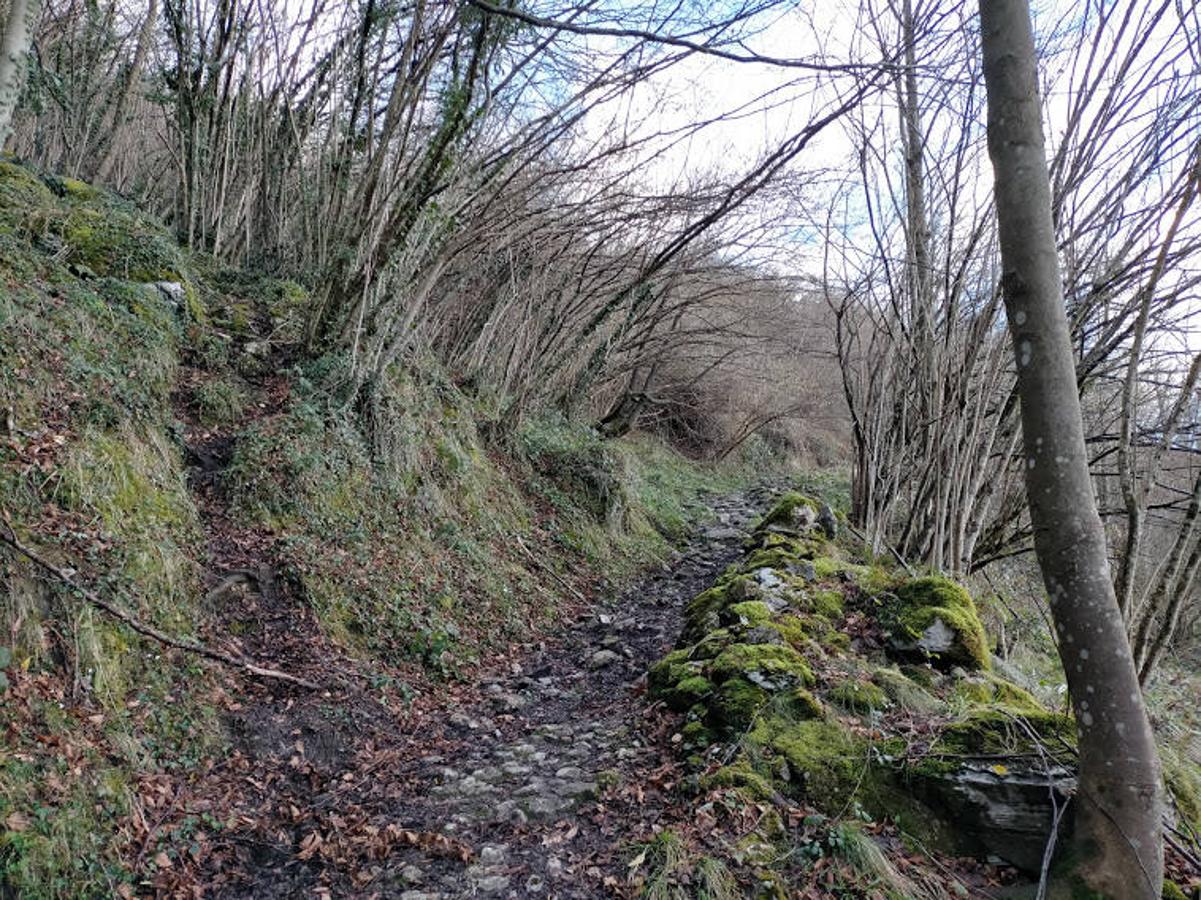 Fotos: Ruta hasta las minas prehistóricas de Texeo