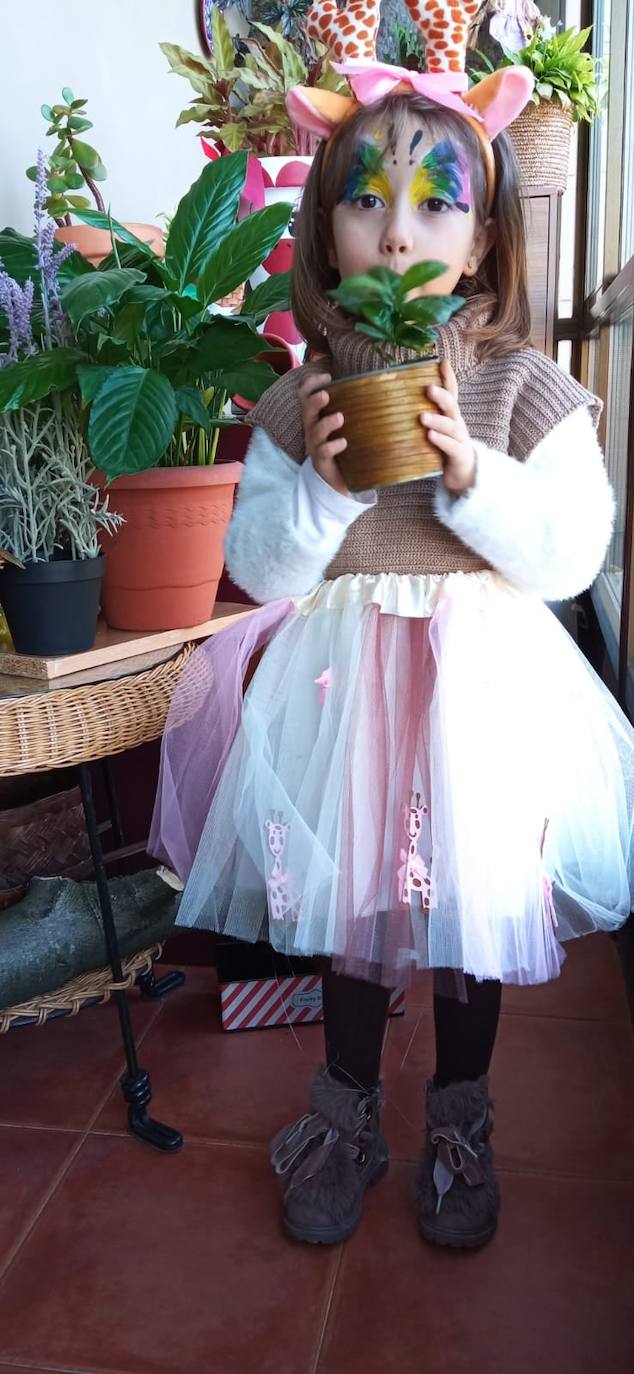 Decididos a no quedarse sin Carnaval, los ovetenses no han dudado en participar en el concurso 'Carnaval Casero 2021' convocado por la Concejalía de Centros Sociales. Una treintena de propuestas individuales y en grupo se han presentado, demostrando su originalidad y ganas de pasarlo bien.