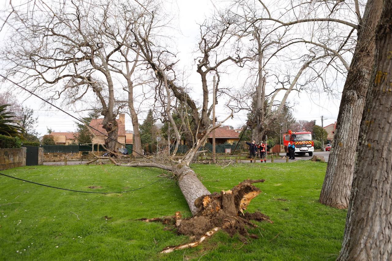 La región estará en alerta hasta el domingo, cuando las temperaturas bajarán bruscamente | La Policía Local de Gijón cierra los principales accesos al parque Isabel La Católica | El viento vuela el techo del polideportivo municipal de El Berrón