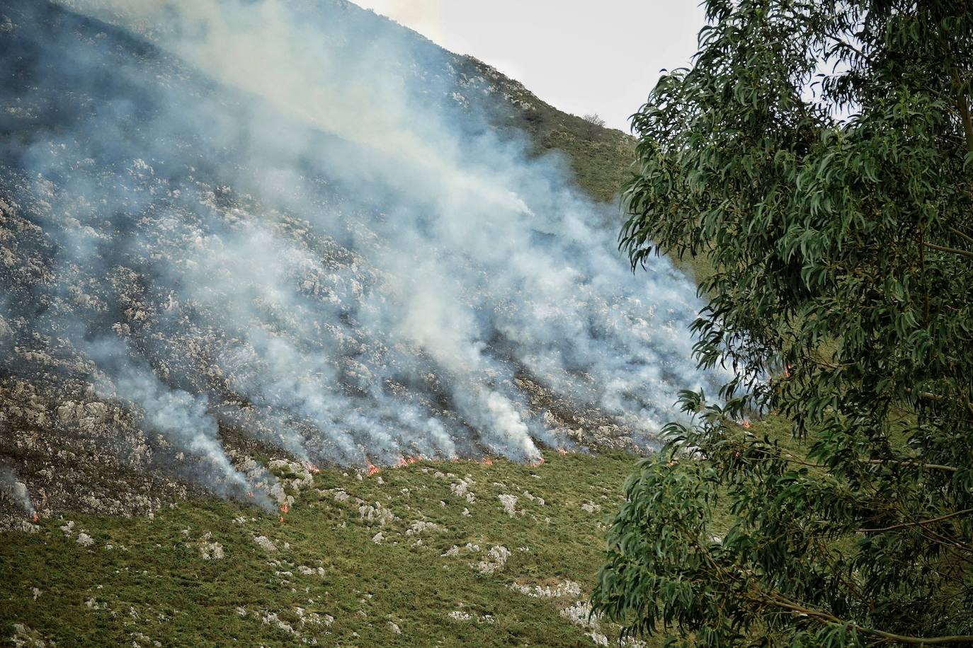 El incendio originado el viernes entre Llanes y Ribadesella, aún con focos activos, provocó ayer una noche de terror en el polígono de Guadamía. Las llamas llegaron hasta el mismo límite del área industrial, donde los propietarios de las naves colindantes a la ladera vivieron momentos de «mucho miedo».