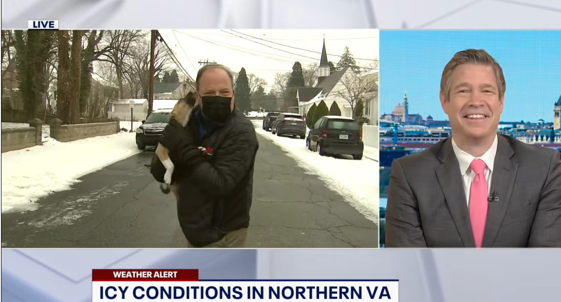 La tierna irrupción de un cachorro en pleno directo