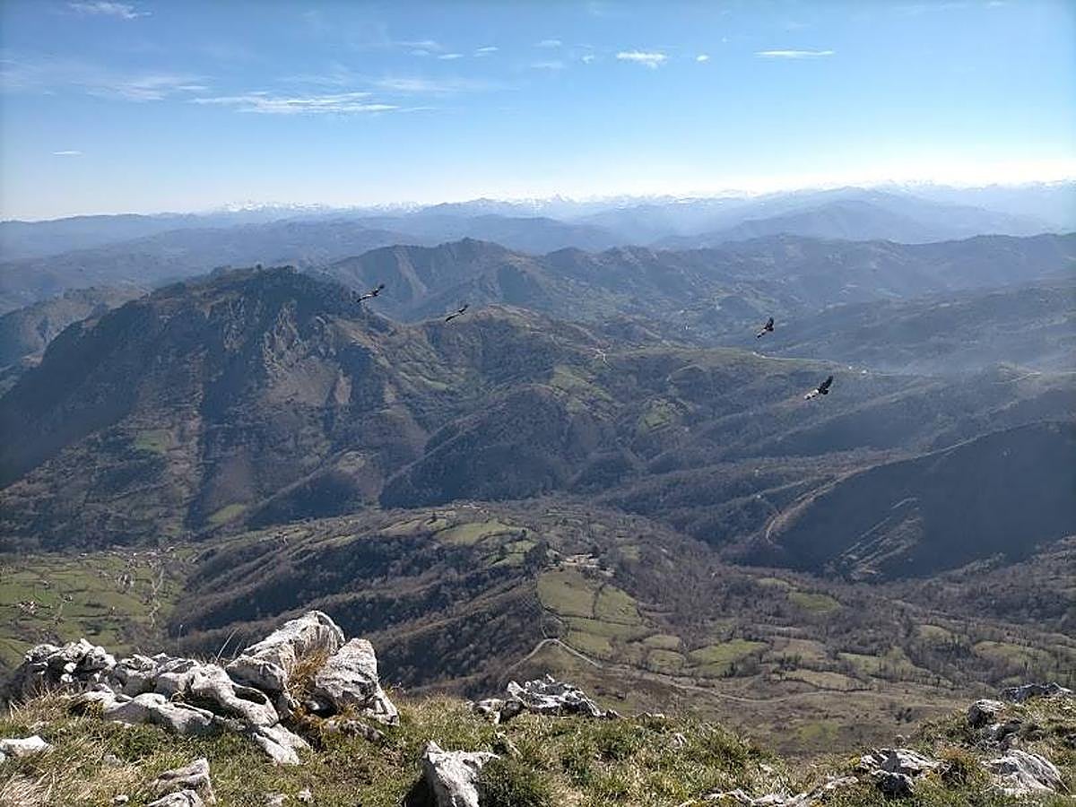 Fotos: Ruta hasta el pico La Mostayal