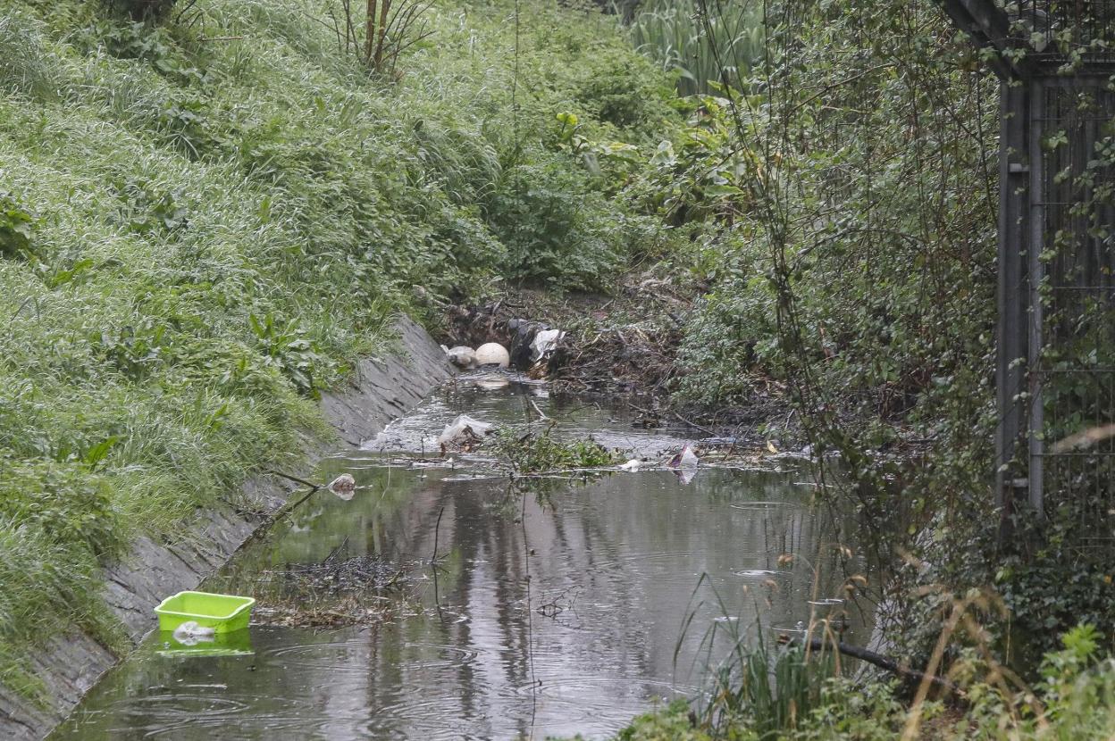 Basura y ramas que taponan uno de los canales. 