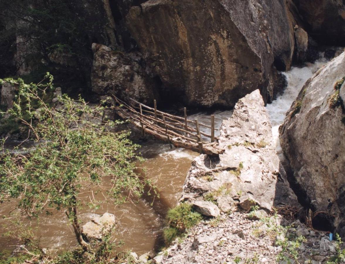 Puente de madera