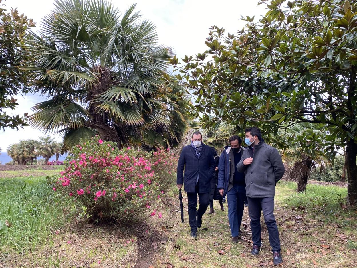 Adrián Barbón, Beltrán Pedregal y Óscar Pérez en el bosque-jardín. 