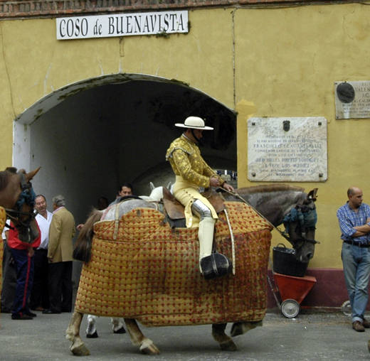 La plaza de toros de Oviedo data de 1889 y durante más de un siglo permaneció en actividad combinando las corridas taurinas con otras actividades lúdicas. A pesar de que en 2007 fue declarada Bien de Interés Cultural (BIC) la maleza y el abandono se ciernen sobre ella. Ayer, el Consejo de Patrimonio respondió de forma positiva a la consulta del Ayuntamiento sobre el proyecto de reforma y adaptación a nuevos usos, que quizás escriba un nuevo futuro para el emplazamiento. 