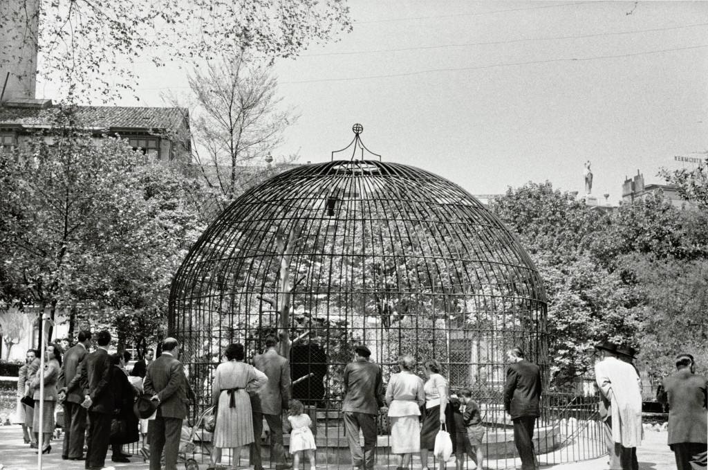 El plan director del Campo de San Francisco busca recuperar el pulmón verde para los ciudadanos e impulsar mejoras que le permitan recuperar el esplendor de épocas pasadas. Generaciones y generaciones se han criado corriendo entre sus árboles y caminos, convirtiéndole en fiel testigo de la historia de Oviedo