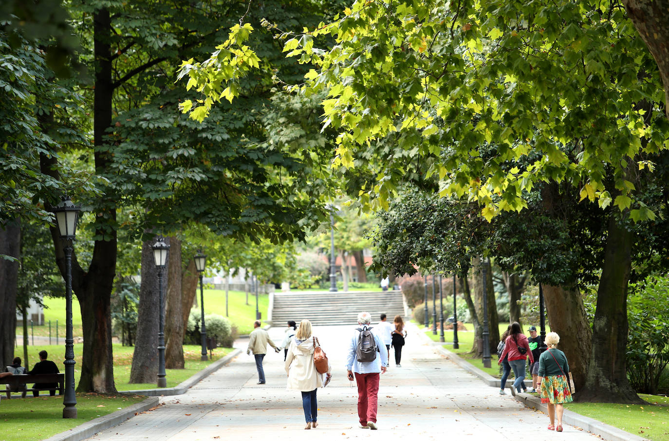 El plan director del Campo de San Francisco busca recuperar el pulmón verde para los ciudadanos e impulsar mejoras que le permitan recuperar el esplendor de épocas pasadas. Generaciones y generaciones se han criado corriendo entre sus árboles y caminos, convirtiéndole en fiel testigo de la historia de Oviedo