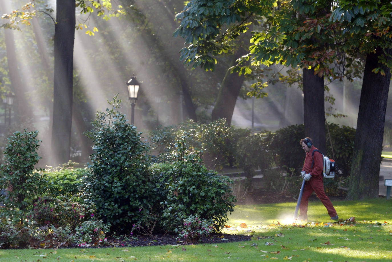 El plan director del Campo de San Francisco busca recuperar el pulmón verde para los ciudadanos e impulsar mejoras que le permitan recuperar el esplendor de épocas pasadas. Generaciones y generaciones se han criado corriendo entre sus árboles y caminos, convirtiéndole en fiel testigo de la historia de Oviedo