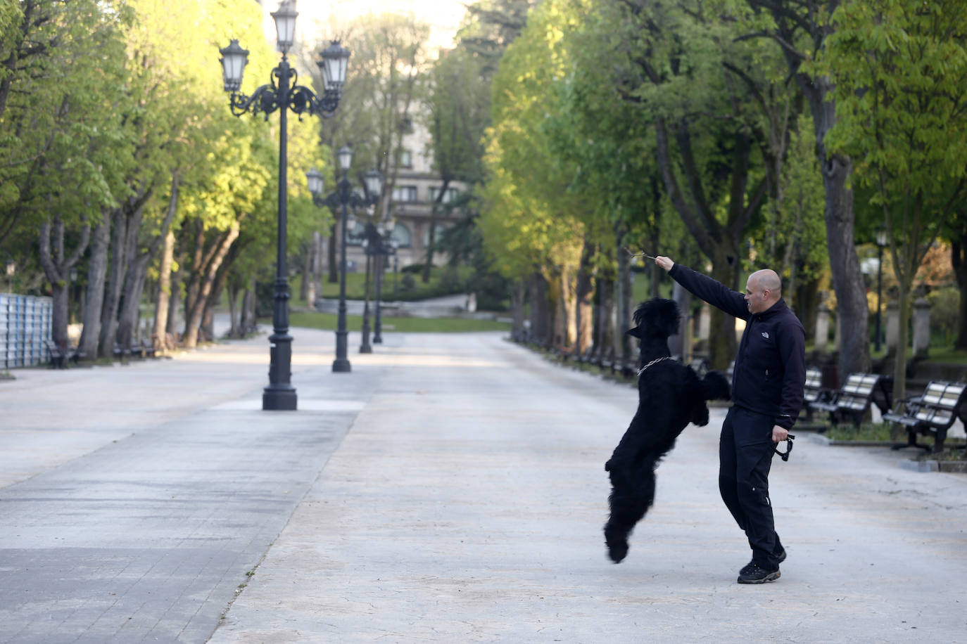 El plan director del Campo de San Francisco busca recuperar el pulmón verde para los ciudadanos e impulsar mejoras que le permitan recuperar el esplendor de épocas pasadas. Generaciones y generaciones se han criado corriendo entre sus árboles y caminos, convirtiéndole en fiel testigo de la historia de Oviedo