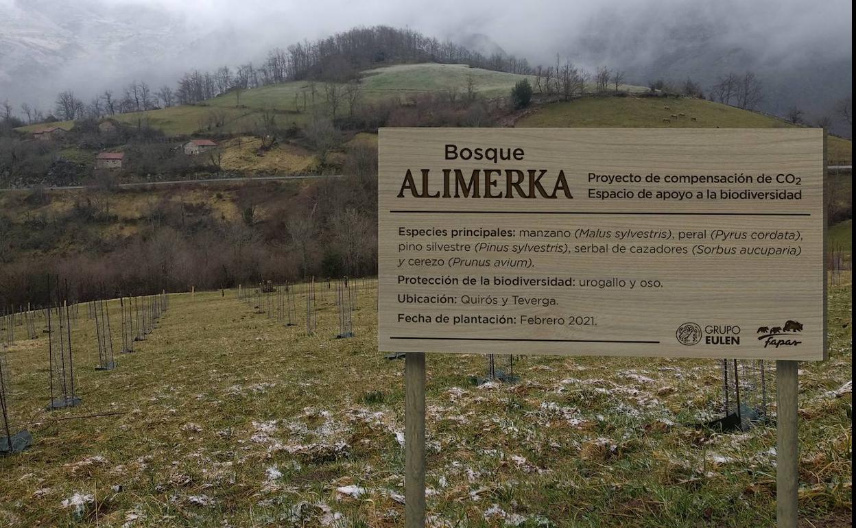 La plantación de árboles de Alimerka en Teverga.