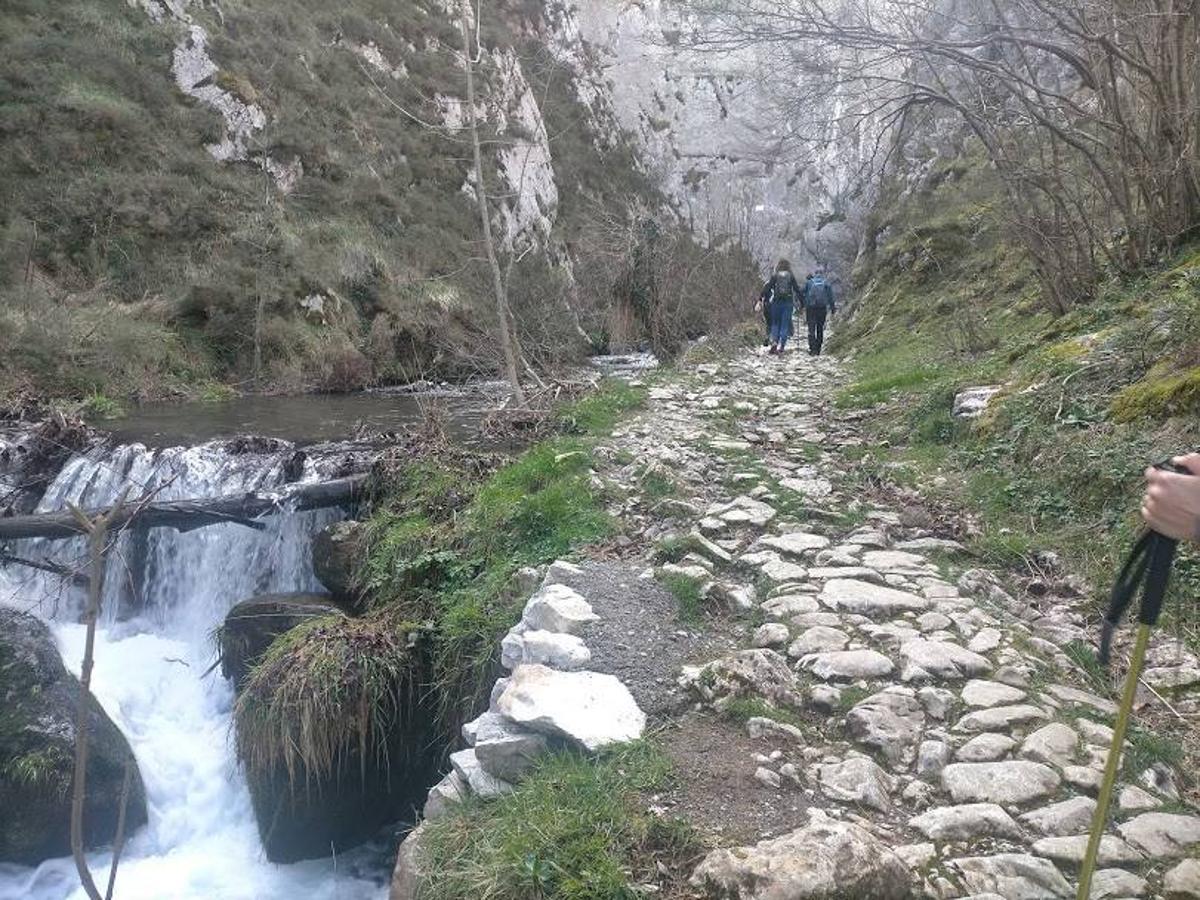 Fotos: Ruta a Peña Redonda desde El Pino