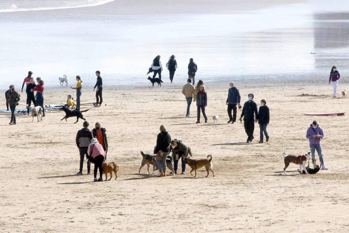 Como si se hubiesen citado, cientos de gijoneses han elegido hoy la playa de San Lorenzo para disfrutar del sol y el aire libre. Muchos de ellos han disfrutado del día con sus macostas, lo que dibujaba un entrañable mosaico en el arenal.