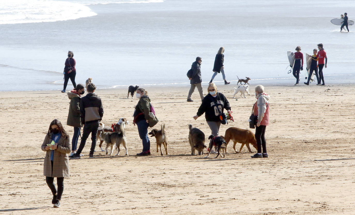 Como si se hubiesen citado, cientos de gijoneses han elegido hoy la playa de San Lorenzo para disfrutar del sol y el aire libre. Muchos de ellos han disfrutado del día con sus macostas, lo que dibujaba un entrañable mosaico en el arenal.