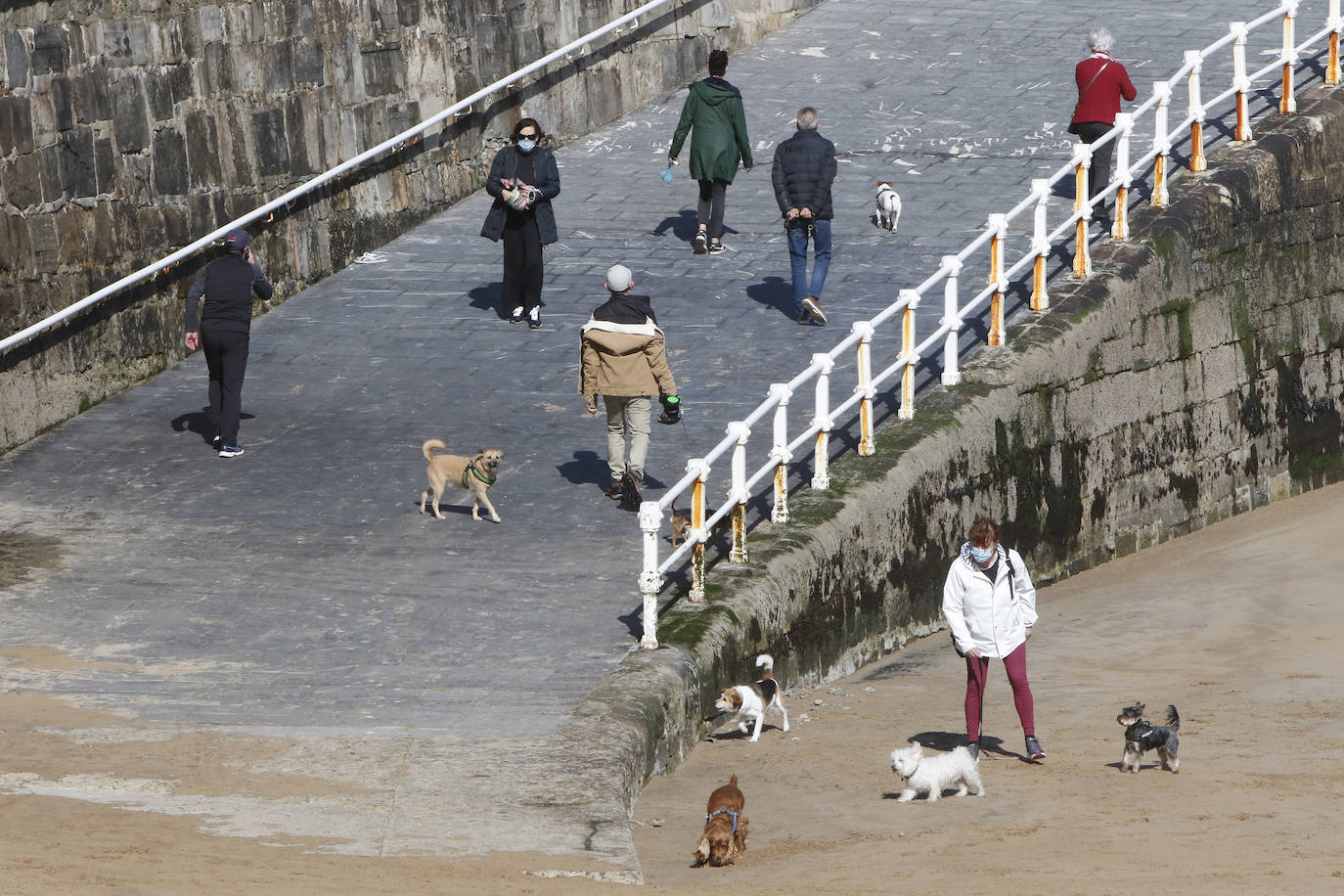 Como si se hubiesen citado, cientos de gijoneses han elegido hoy la playa de San Lorenzo para disfrutar del sol y el aire libre. Muchos de ellos han disfrutado del día con sus macostas, lo que dibujaba un entrañable mosaico en el arenal.