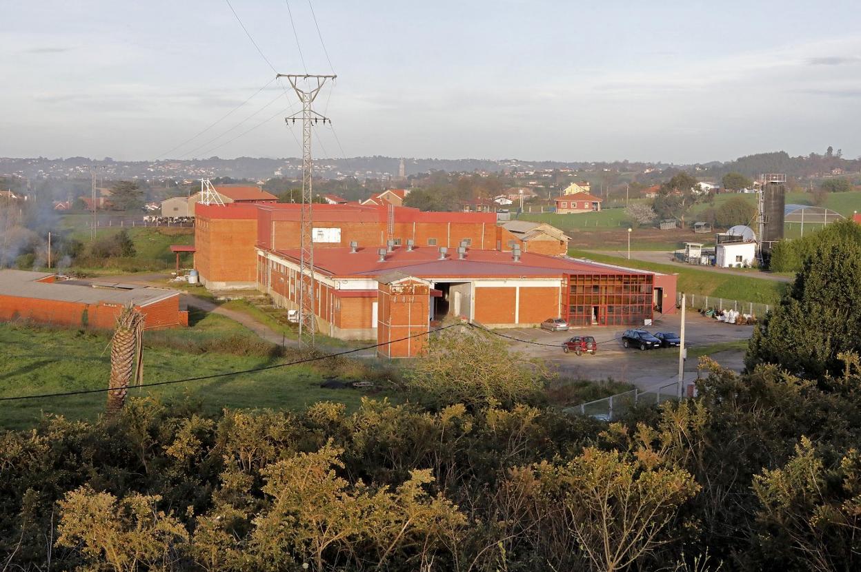 Antiguas instalaciones de la fábrica de Famila, en las que el Principado quiere levantar una estación de ITV. 