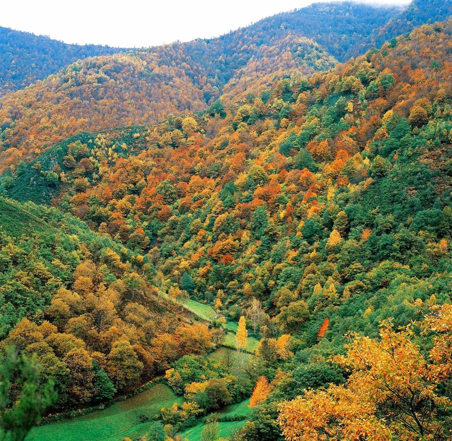 El Parque Natural de las Fuentes del Narcea