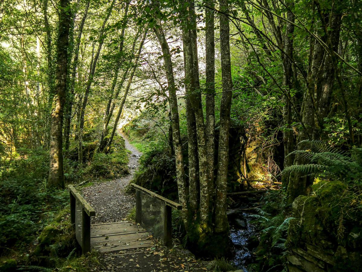 Comarca de Oscos–Eo