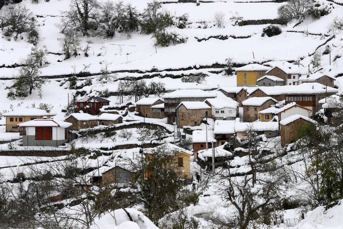 Parque Natural de Somiedo