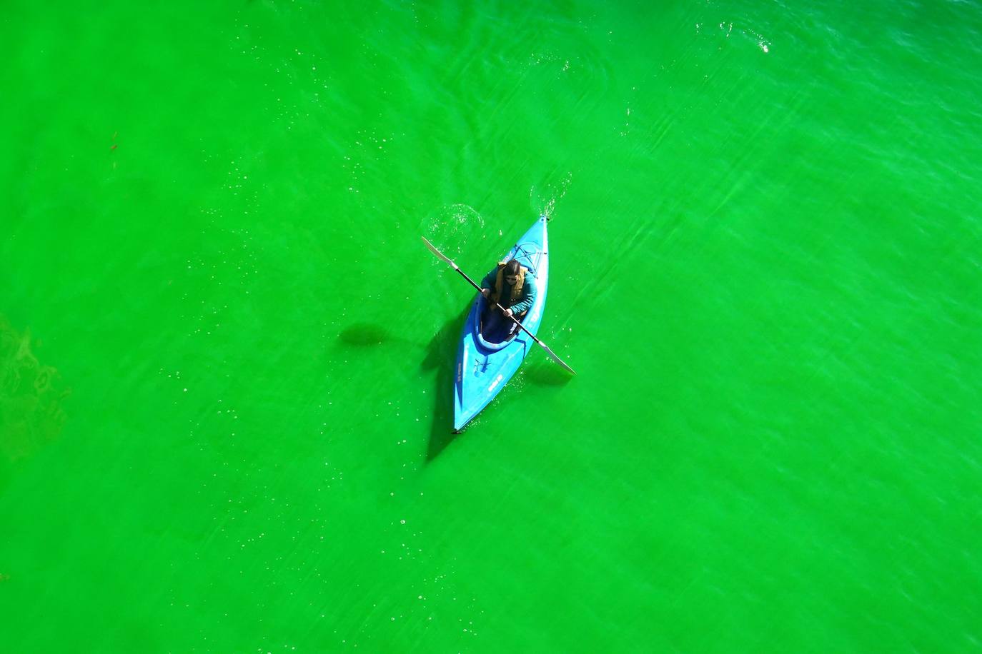 Chicago decidió este año suspender, a causa de la pandemia, una tradición en San Patricio: teñir el río de verde. Sin embargo, por sorpresa y sin que nadie lo esperara, el Ayuntamiento llevó a cabo la acción durante el fin de semana, evitando de este modo las aglomeraciones y permitiendo a los ciudadanos disfrutar del espectáculo de color. 