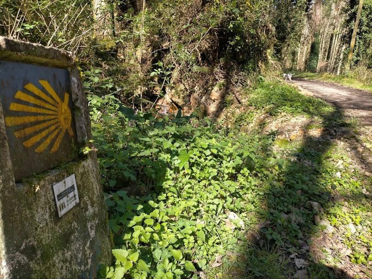 Fotos: Ruta a la Cascada del Nonaya