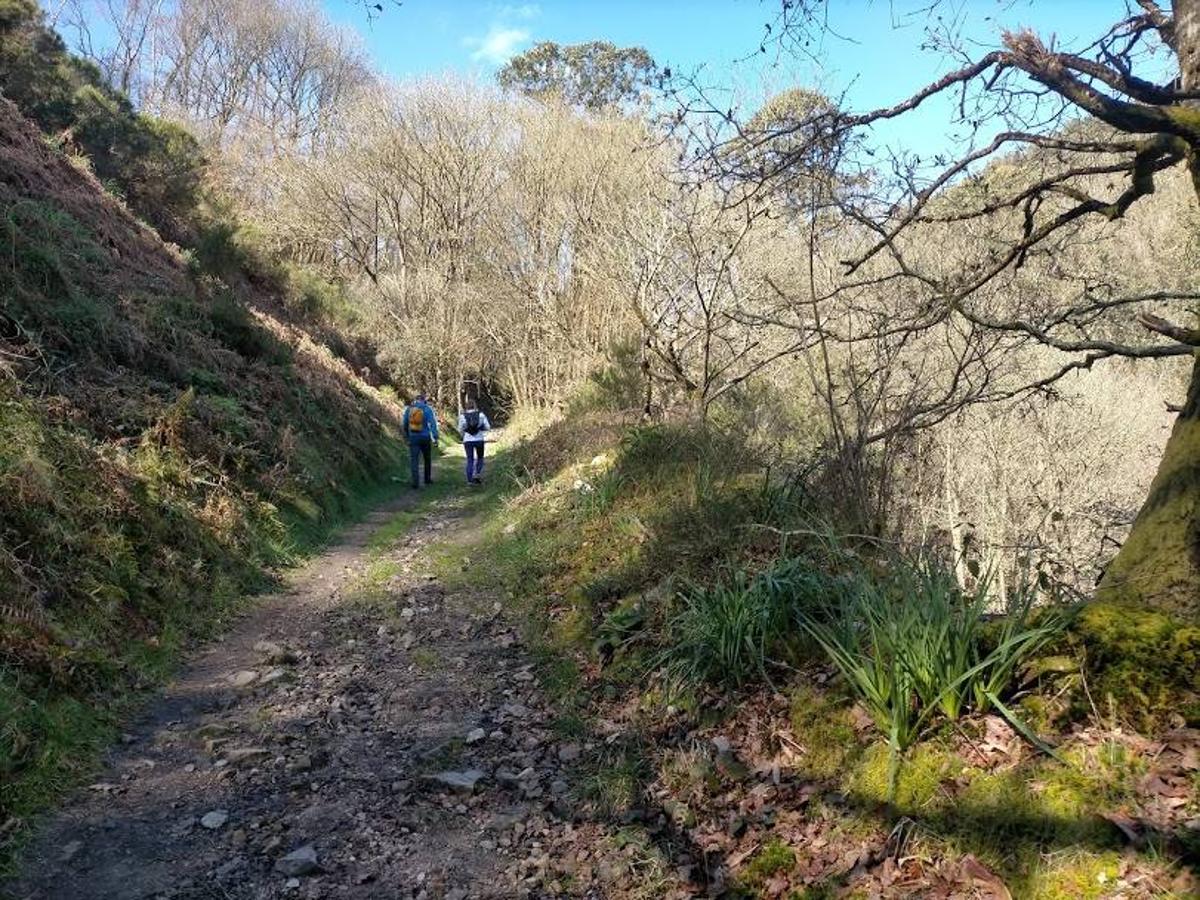 Fotos: Ruta a la Cascada del Nonaya