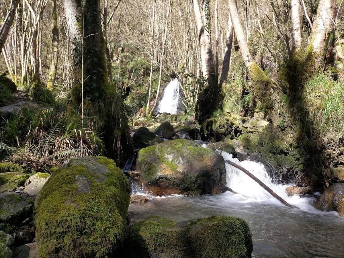 Fotos: Ruta a la Cascada del Nonaya