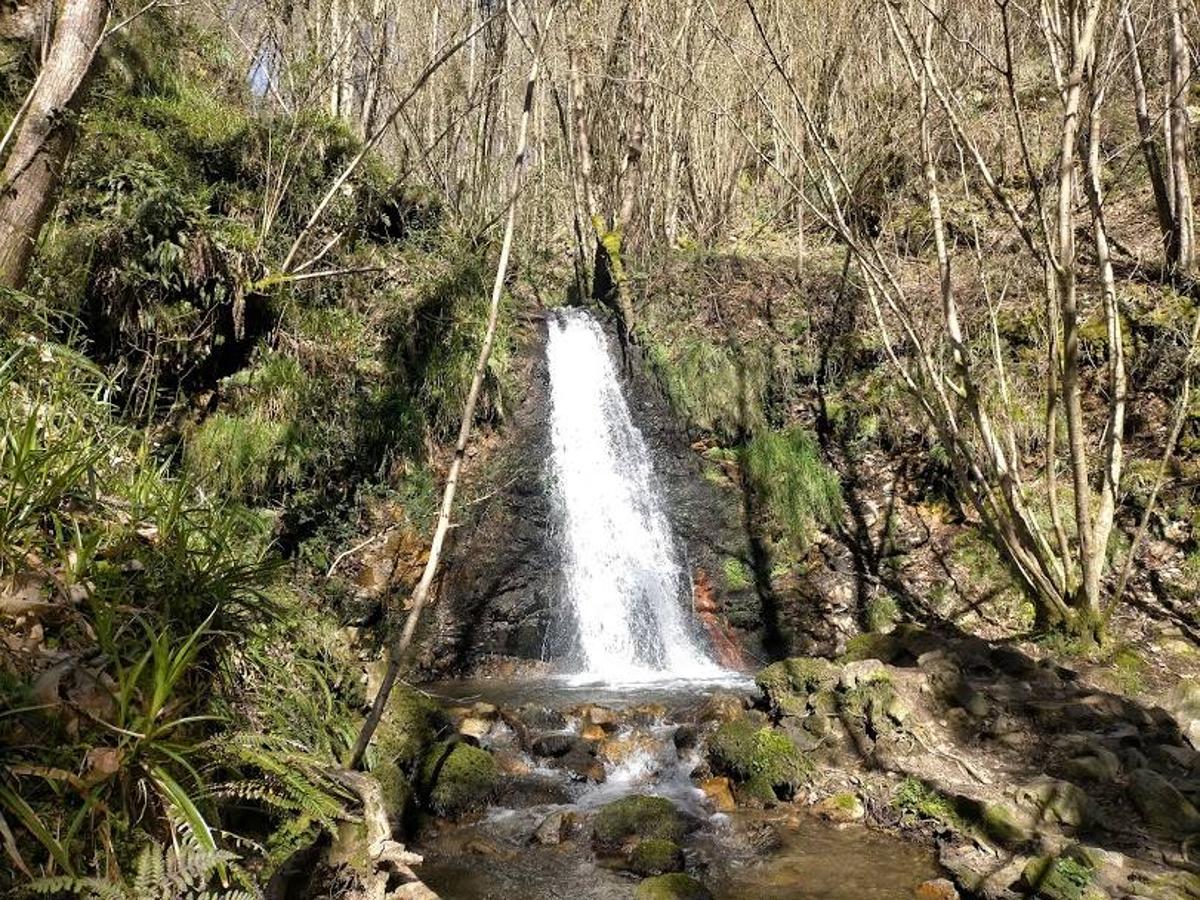 Fotos: Ruta a la Cascada del Nonaya