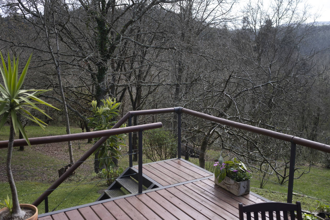 En un bosque. La vivienda de este artista visual y profesor de dibujo se integra en una carbayera de la que se disfruta a través de ventanales, porches abiertos y galerías