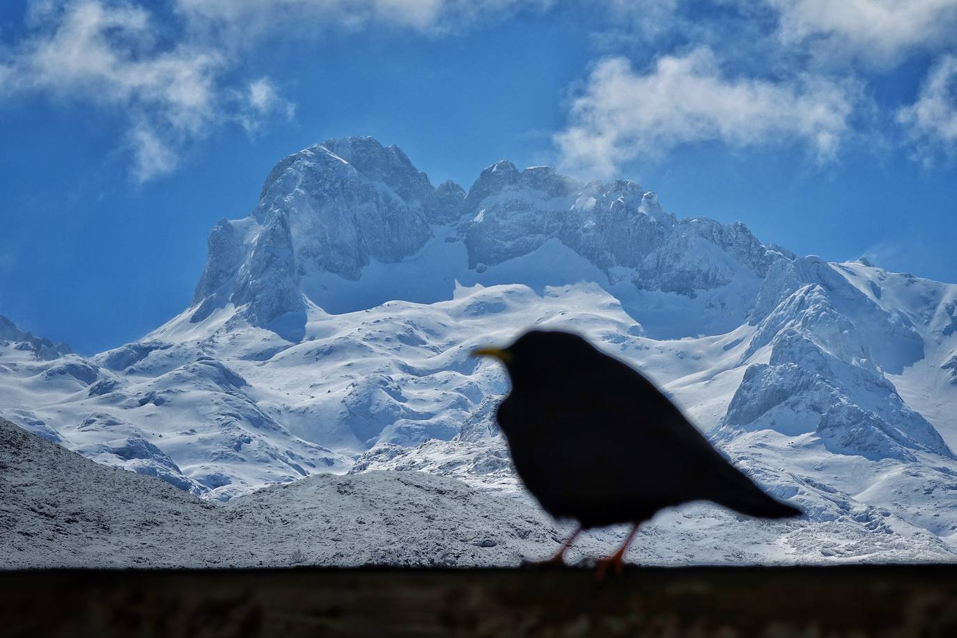 El emblemático enclave de los Picos de Europa ha amanecido cubierto de un manto blanco en sus cotas más altas y tanto en los alrededores del Enol como del Ercina se acumula una capa de nieve.