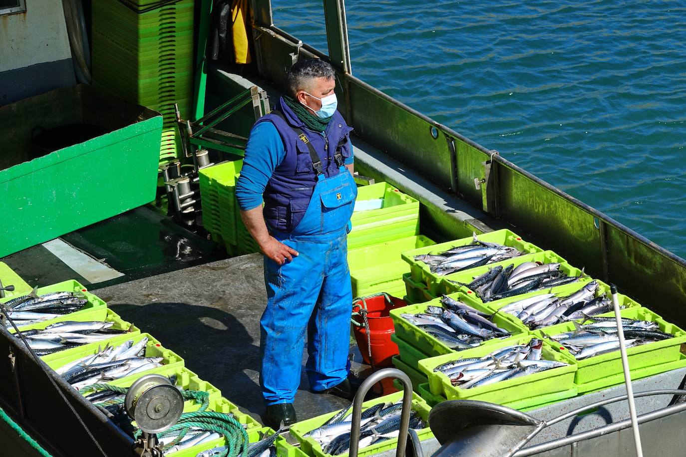 Fotos: La xarda desembarca en Lastres