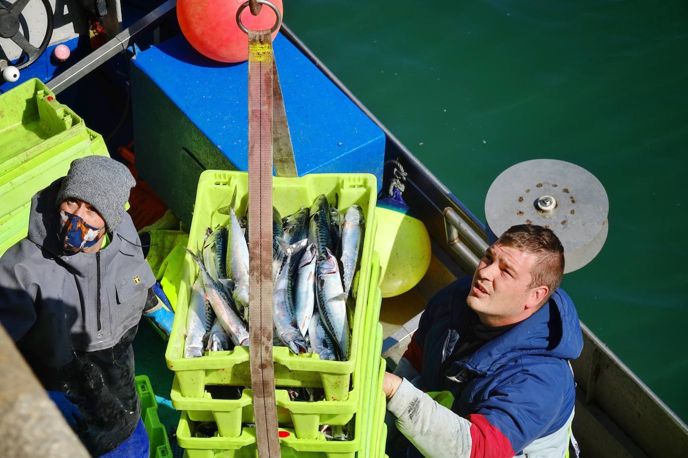 Fotos: La xarda desembarca en Lastres