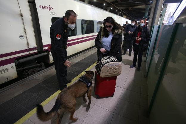 El operativo incluye el rastreo de sustancias ilegales. En el vídeo: Restricciones para Semana Santa en Asturias.