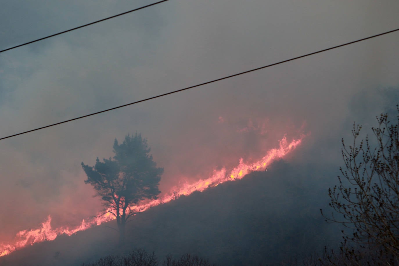 El INFOPA permanecía activado en fase de alerta, previa a la emergencia, desde el pasado 15 de enero