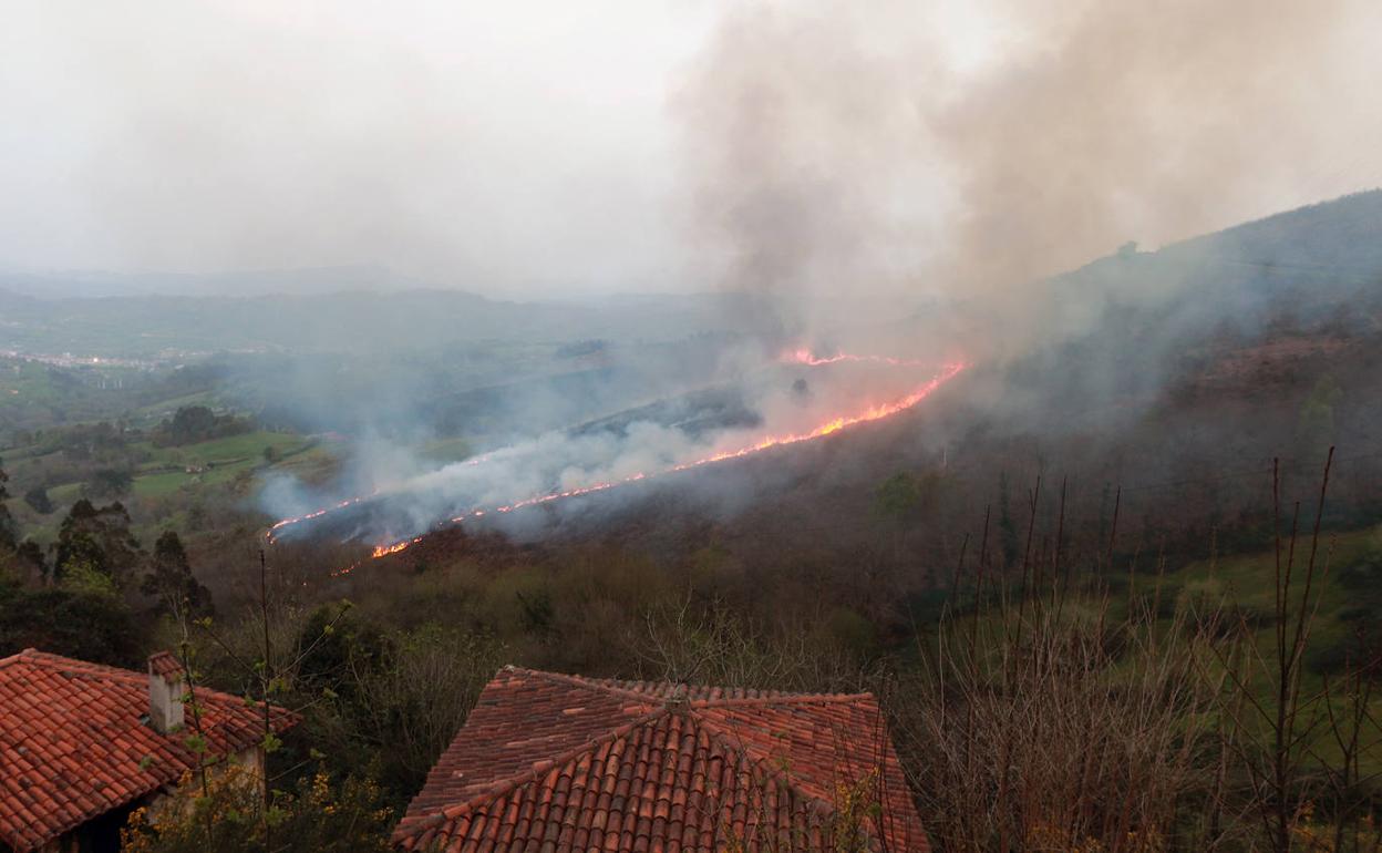 Incendio en un monte en Ballongo, en Grado