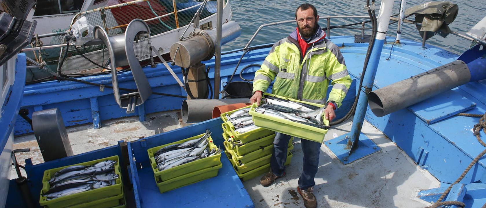 EL MUSEL, PUERTO DE GIJÓN: Puerto de pesca y rula