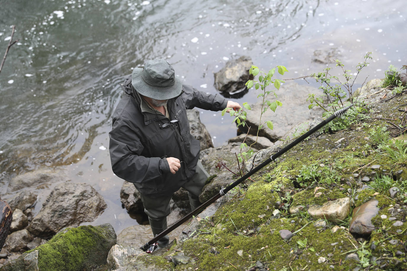 Decepción en el Eo con un salmón pescado en Louredal que no fue validado al comprobarse que era un zancado