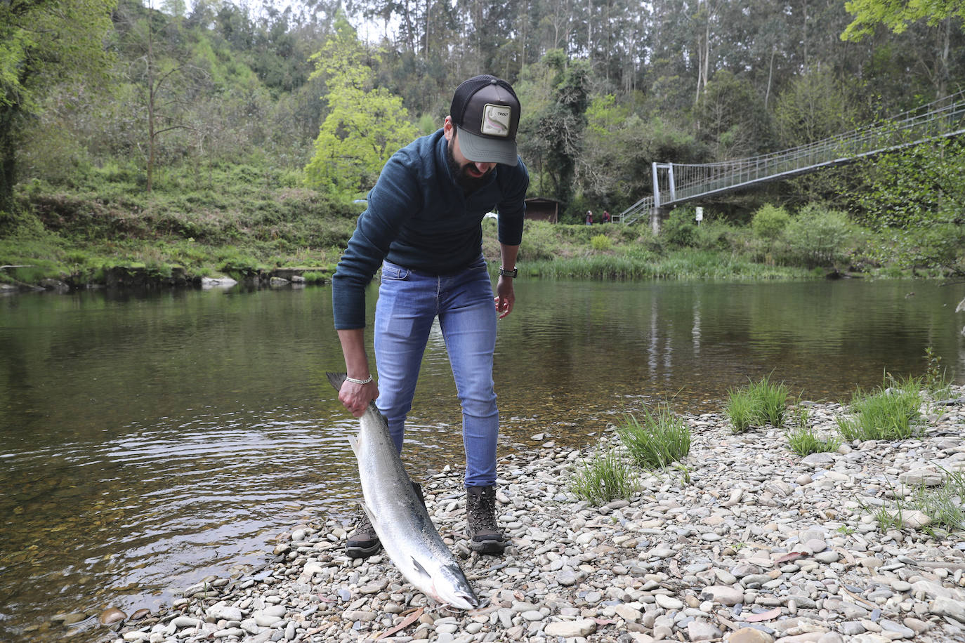 Gonzalo Suárez, de Quirós, ha capturado el campanu de Asturias 2021 en el río Eo, un ejemplar de 5,1 kilos, en la segunda jornada de la temporada de pesca con muerte. Rogelio Diego del Corro echó a tierra el primer salmón del Sella, una pieza de casi ocho kilos.