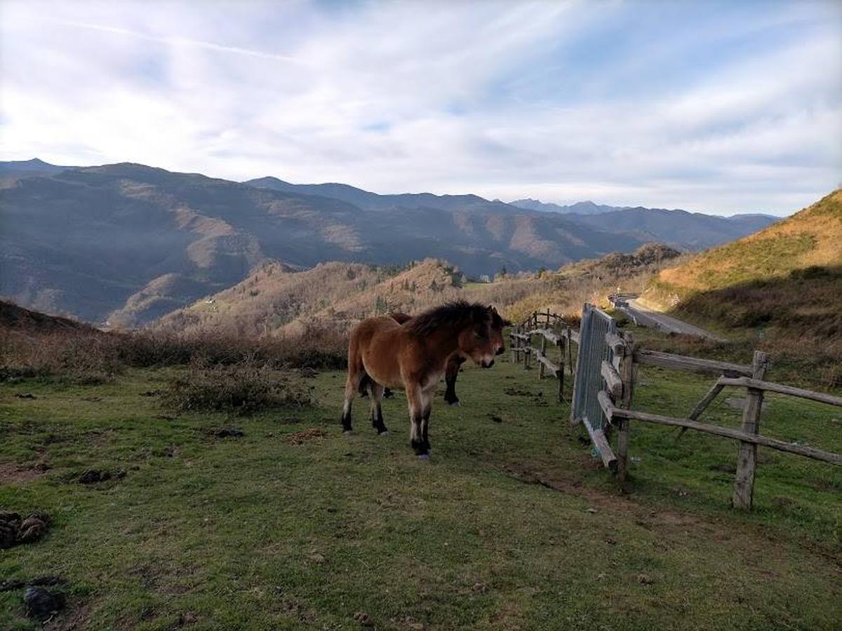 Ruta desde el Alto de la Collaona hasta el Picu Fermosu. Es una caminata de unos 7,2 km en la que podrás disfrutar de una de las mejores panorámicas de la famosa Peña Mea y también a los paisajes de Laviana y del valle de Aller. 