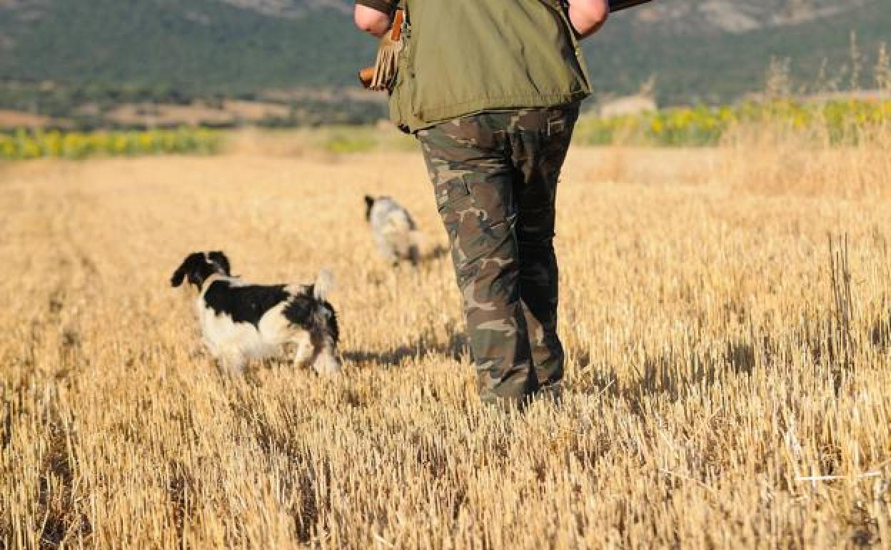 Un cazador con sus perros. 