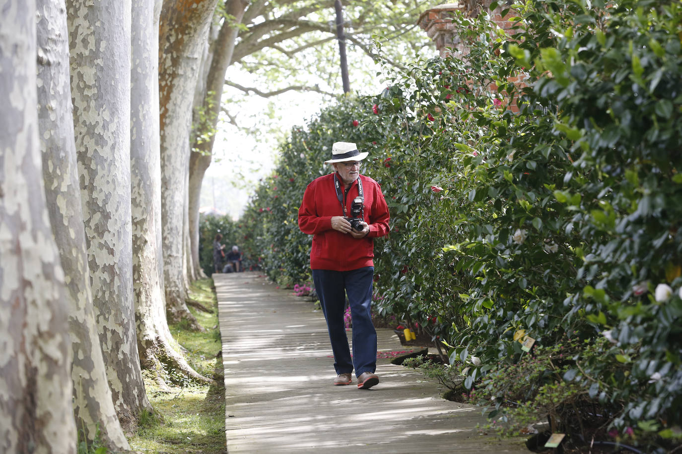 El Jardín Botánico de Gijón será el primero del país en integrarse en una red internacional que estudia cómo afecta el clima a las especies vegetales. Se marcan dos años para llevarlo a cabo y también para relanzarlo y que se convierta en un centro de referencia en conservación de especies y hábitats vegetales, tanto en España como en Europa.