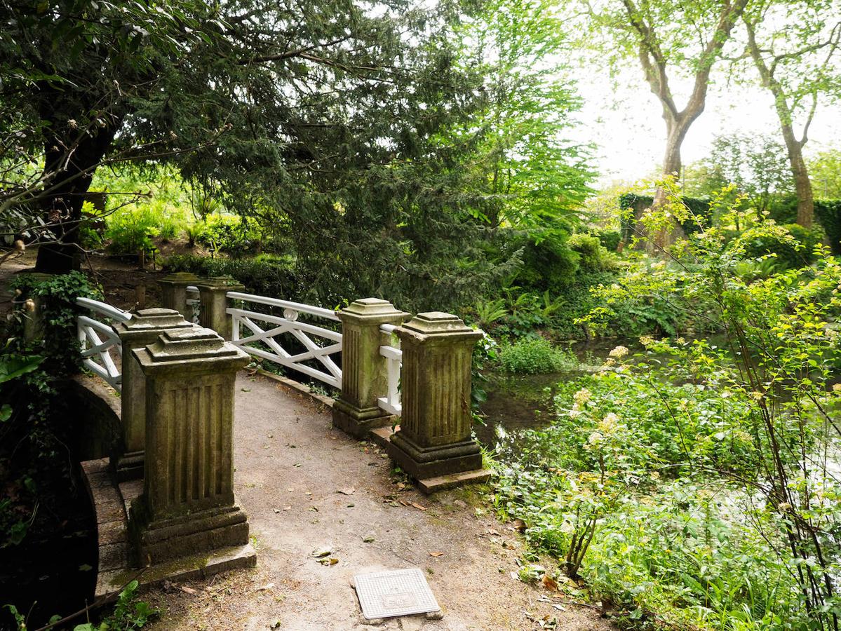 El Jardín Botánico de Gijón será el primero del país en integrarse en una red internacional que estudia cómo afecta el clima a las especies vegetales. Se marcan dos años para llevarlo a cabo y también para relanzarlo y que se convierta en un centro de referencia en conservación de especies y hábitats vegetales, tanto en España como en Europa.