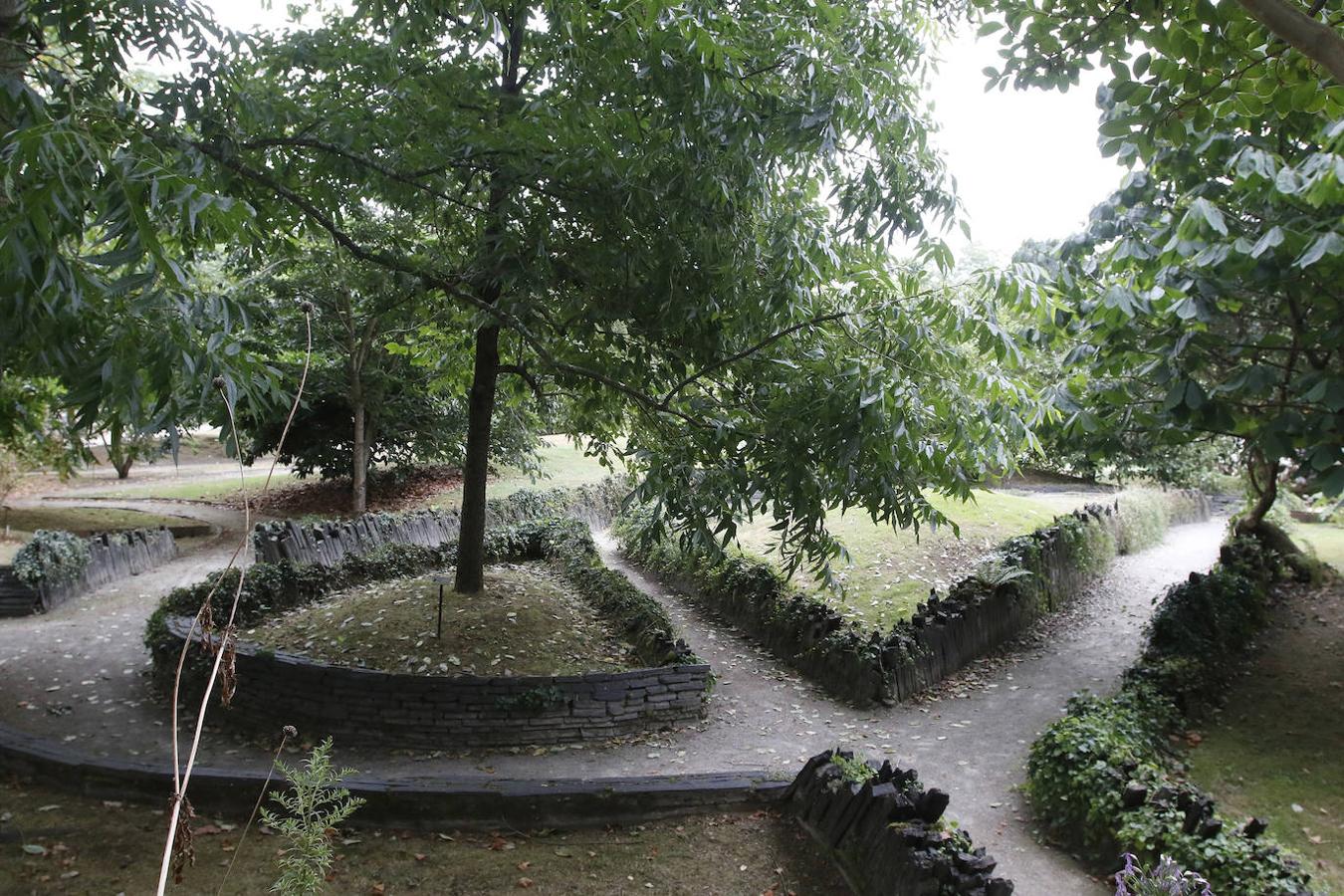 El Jardín Botánico de Gijón será el primero del país en integrarse en una red internacional que estudia cómo afecta el clima a las especies vegetales. Se marcan dos años para llevarlo a cabo y también para relanzarlo y que se convierta en un centro de referencia en conservación de especies y hábitats vegetales, tanto en España como en Europa.