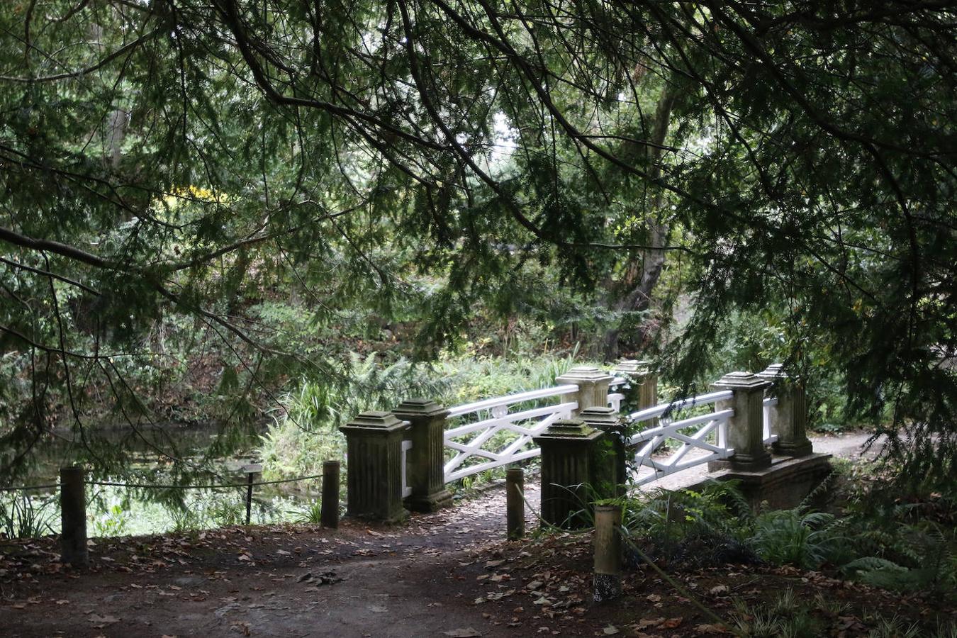 El Jardín Botánico de Gijón será el primero del país en integrarse en una red internacional que estudia cómo afecta el clima a las especies vegetales. Se marcan dos años para llevarlo a cabo y también para relanzarlo y que se convierta en un centro de referencia en conservación de especies y hábitats vegetales, tanto en España como en Europa.