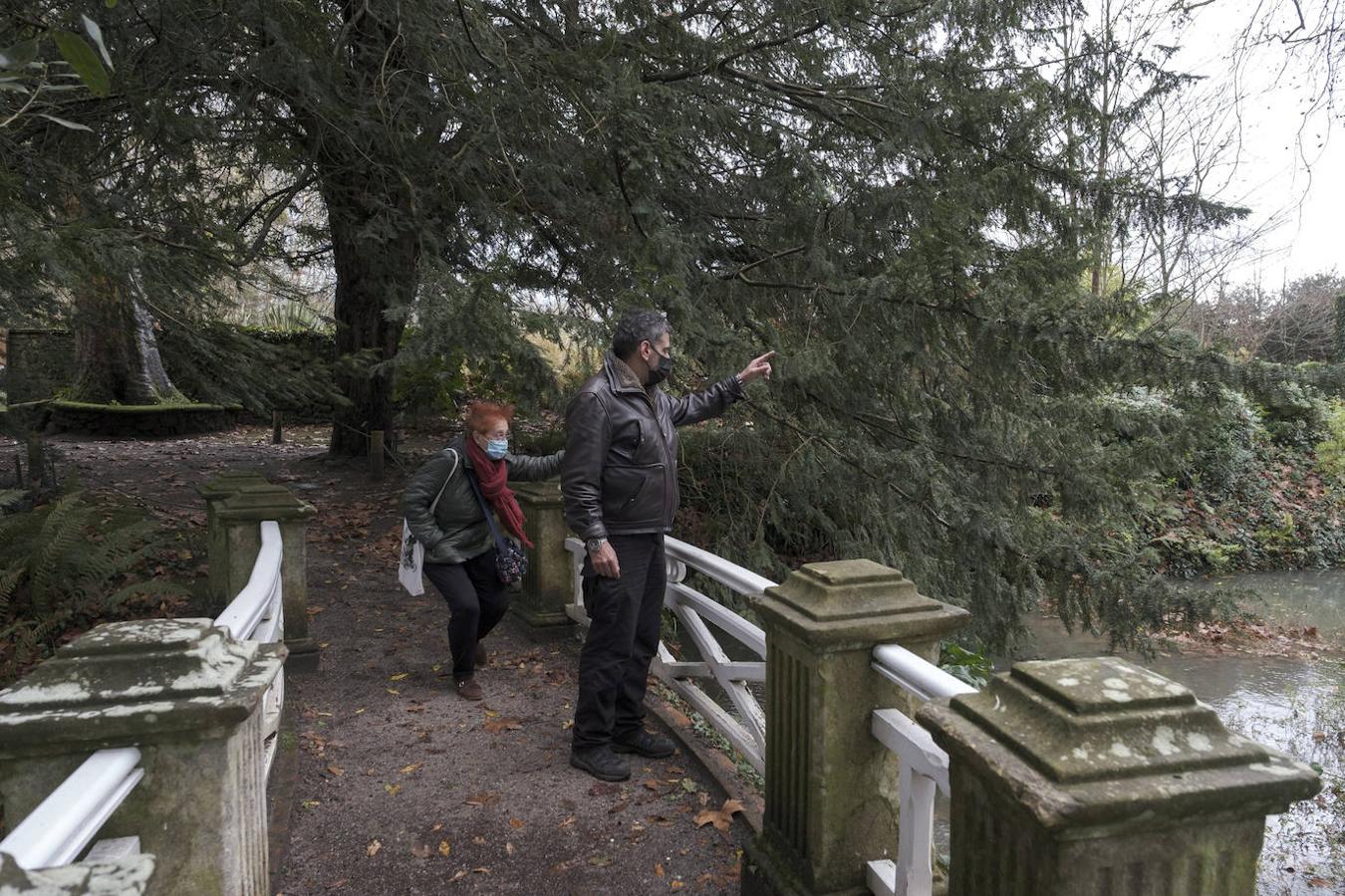 El Jardín Botánico de Gijón será el primero del país en integrarse en una red internacional que estudia cómo afecta el clima a las especies vegetales. Se marcan dos años para llevarlo a cabo y también para relanzarlo y que se convierta en un centro de referencia en conservación de especies y hábitats vegetales, tanto en España como en Europa.