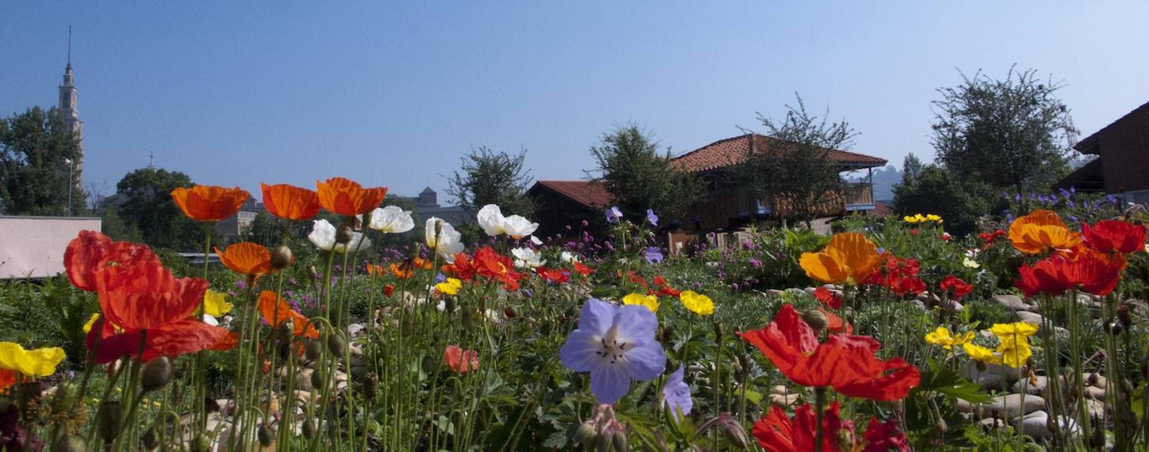 El Jardín Botánico de Gijón será el primero del país en integrarse en una red internacional que estudia cómo afecta el clima a las especies vegetales. Se marcan dos años para llevarlo a cabo y también para relanzarlo y que se convierta en un centro de referencia en conservación de especies y hábitats vegetales, tanto en España como en Europa.