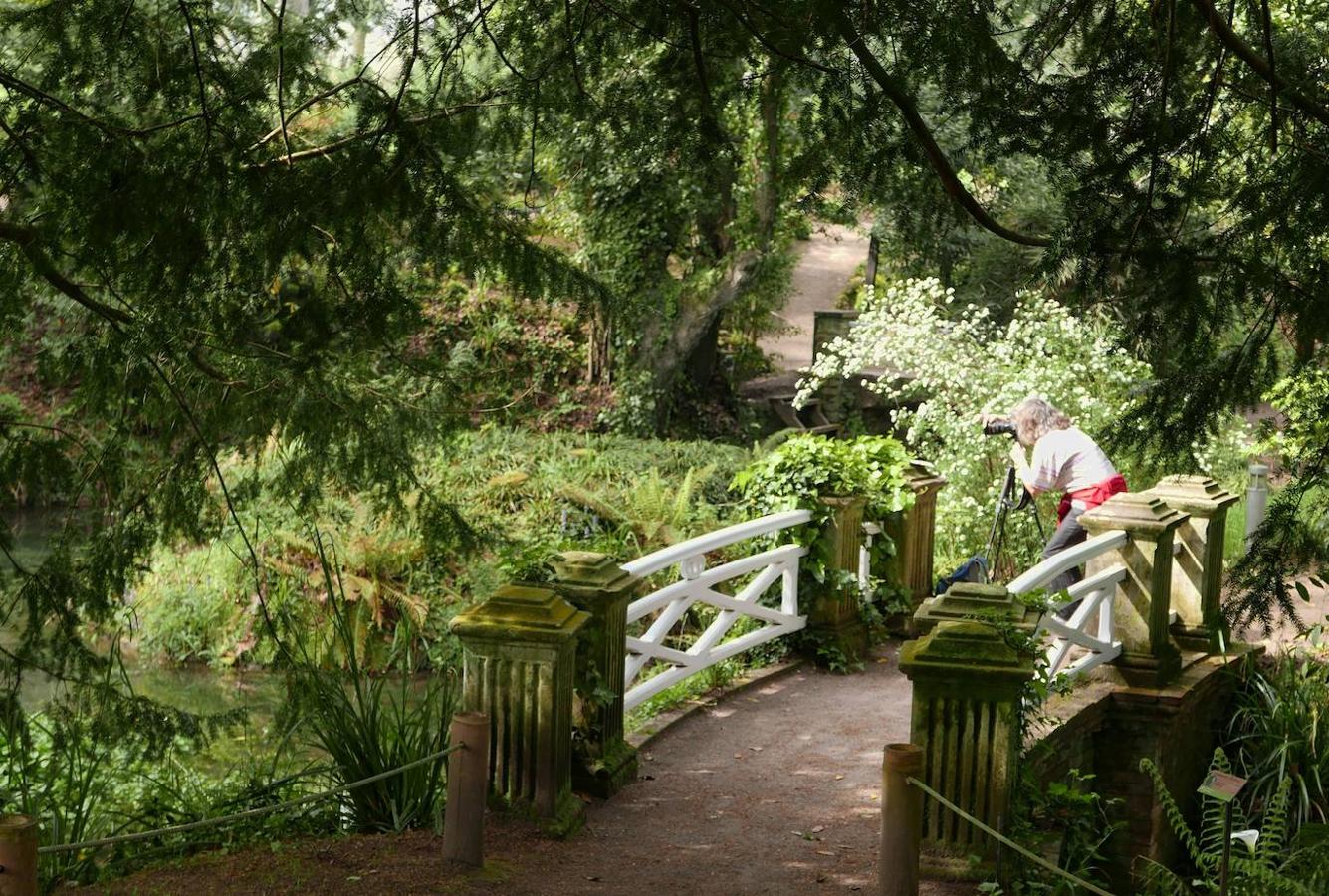 El Jardín Botánico de Gijón será el primero del país en integrarse en una red internacional que estudia cómo afecta el clima a las especies vegetales. Se marcan dos años para llevarlo a cabo y también para relanzarlo y que se convierta en un centro de referencia en conservación de especies y hábitats vegetales, tanto en España como en Europa.