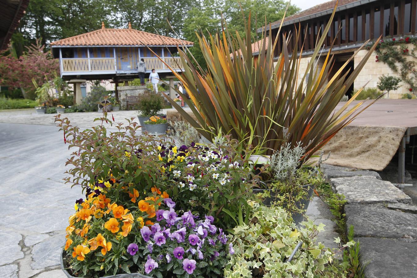 El Jardín Botánico de Gijón será el primero del país en integrarse en una red internacional que estudia cómo afecta el clima a las especies vegetales. Se marcan dos años para llevarlo a cabo y también para relanzarlo y que se convierta en un centro de referencia en conservación de especies y hábitats vegetales, tanto en España como en Europa.